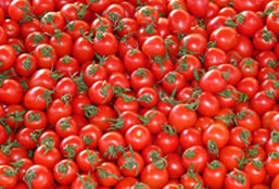 无限轰炸手机软件电话下载