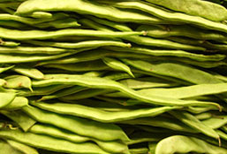 在线永久免费轰炸电话